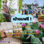 เปิดเข้าชมฟรี! เพ ลา เพลิน บุรีรัมย์ ชวนปชช.-เด็กๆเยาวชน 4 จว.อีสานใต้ ร่วมผ่อนคลายความตึงเครียด