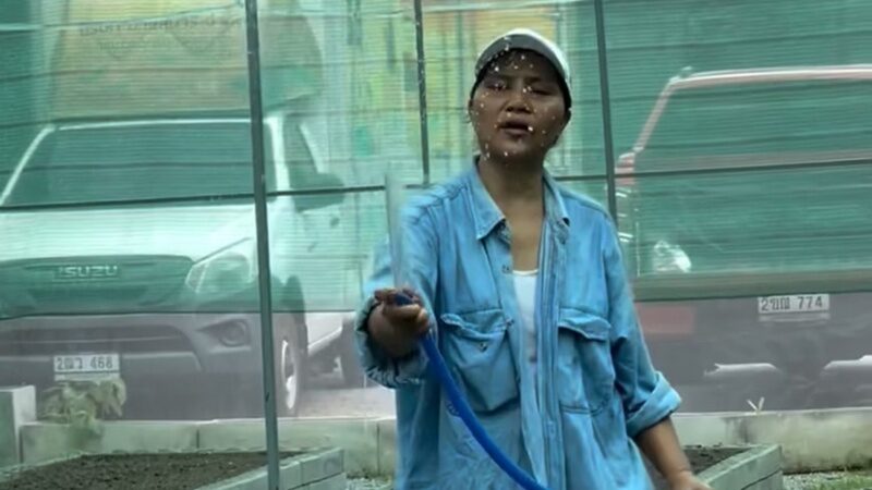 สุนารี