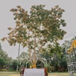เพ ลา เพลิน บุรีรัมย์ ฉลองครบรอบ 9 ปี 'พระเขี้ยวแก้ว' (จำลอง)” จากศรีลังกา