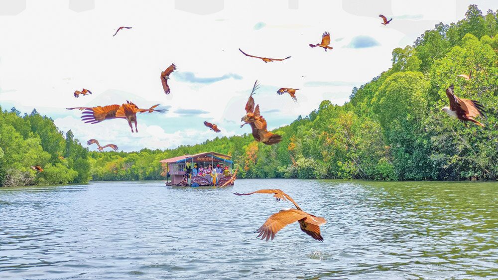 หลาก&หลายท่องเที่ยว - เยือนบ้านหยงสตาร์ เมืองตรัง ล่องแพ-เรือกระด้งชมธรรมชาติ