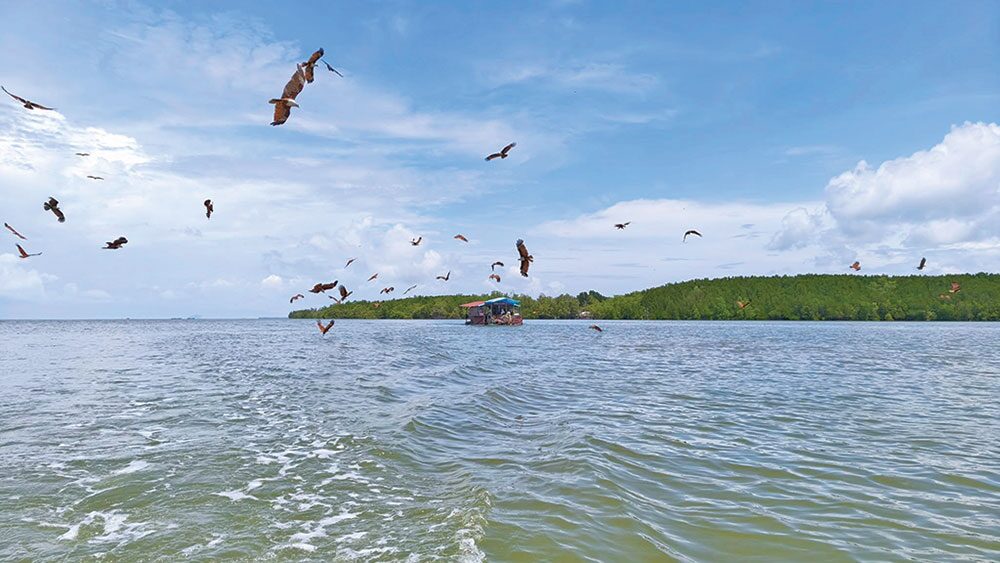 หลาก&หลายท่องเที่ยว - เยือนบ้านหยงสตาร์ เมืองตรัง ล่องแพ-เรือกระด้งชมธรรมชาติ
