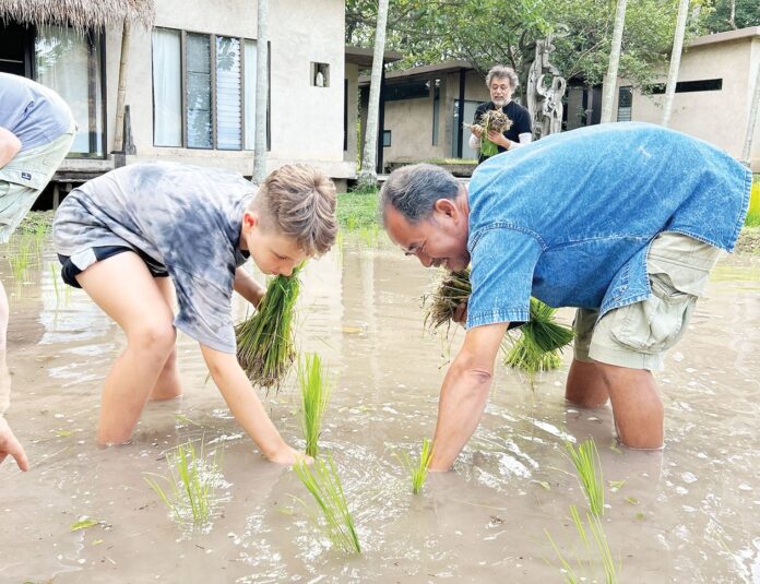 ปักหมุดศิลปวัฒนธรรม