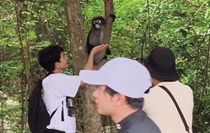 เพื่อนตัวเล็ก