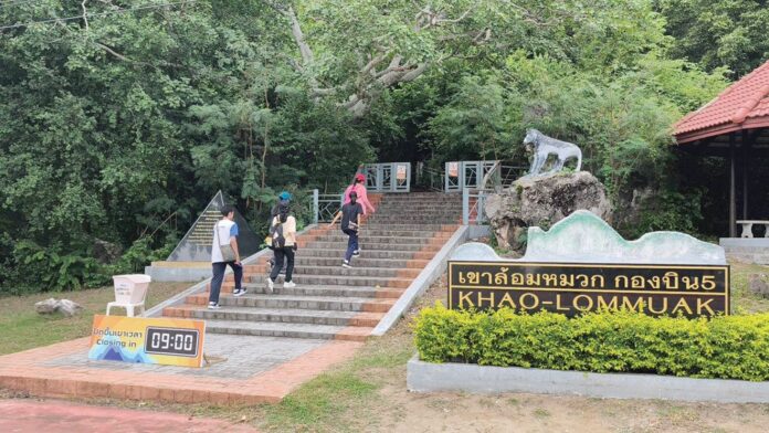 เพื่อนตัวเล็ก