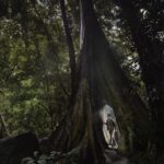 หยุดเวลาไว้ที่…ทุ่งเพล Unseen Green Route เติมพลังสีเขียวกลางผืนป่าเมืองจันท์