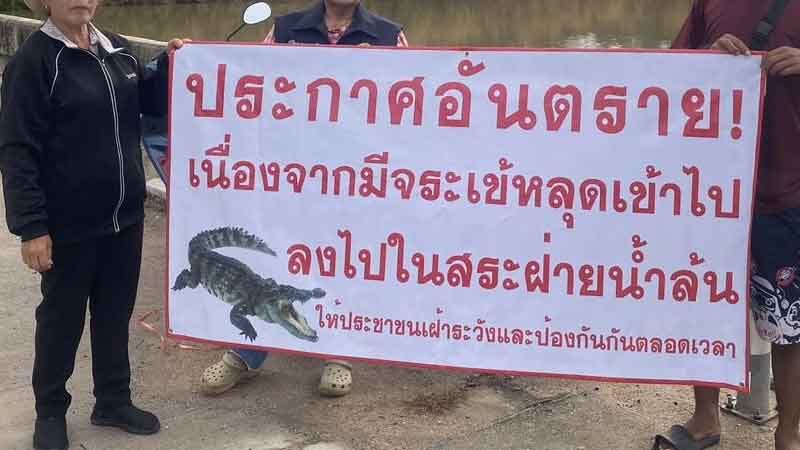 ผวากลางดึก น้ำท่วม ไอ้เข้ยักษ์ ตัวยาวกว่า 2 เมตร โผล่นอนขวางถนน แจ้งเตือนชาวบ้าน