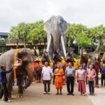 สวนนงนุชพัทยาดูแล ทำคลอดลูกช้าง “พลายศรีวิชัย” อย่างใกล้ชิด 