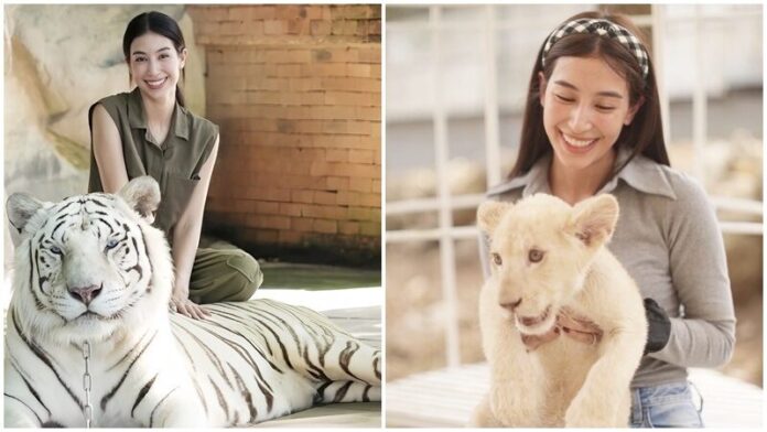 มิ้นต์ ตกใจข่าวสิงโตขย้ำคน! ยันสวนสัตว์ของ ภูผา แฟนหนุ่ม ความปลอดภัยแน่น