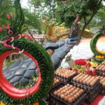 ศรัทธายังแรง แห่ร่วมพิธีเปิดโชคบ่วงนาคบาศยักษ์ ส่องเลขเด็ดเห็นชัดเล็งเสี่ยงโชค หวังมีดวงเศรษฐี