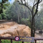 เตือนพายุถล่ม ฝนตกหนักทุกอำเภอ พ่อเมืองกาญจน์ สั่งด่วนที่สุด 22-26 ก.ย. เฝ้าระวัง อุทกภัย 24 ชั่วโมง
