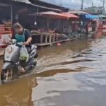 ชาวบ้านพิจิตรทุกข์ น้ำท่วมหนัก ท้อเคราะห์ซ้ำกรรมซัด แก๊งแมวน้ำ ตระเวนขโมย จยย. จอมหนีน้ำริมถนน