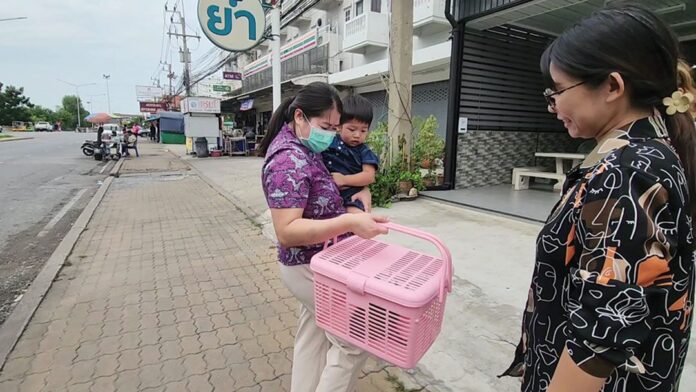 เพื่อนตัวเล็ก - แมวอยุธยามุดห้องเครื่องเก๋ง กู้ภัยช่วยทัน-คนใจบุญรับเลี้ยง