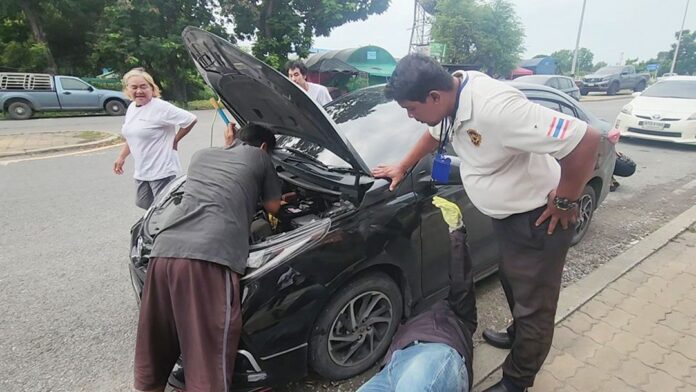 เพื่อนตัวเล็ก - แมวอยุธยามุดห้องเครื่องเก๋ง กู้ภัยช่วยทัน-คนใจบุญรับเลี้ยง
