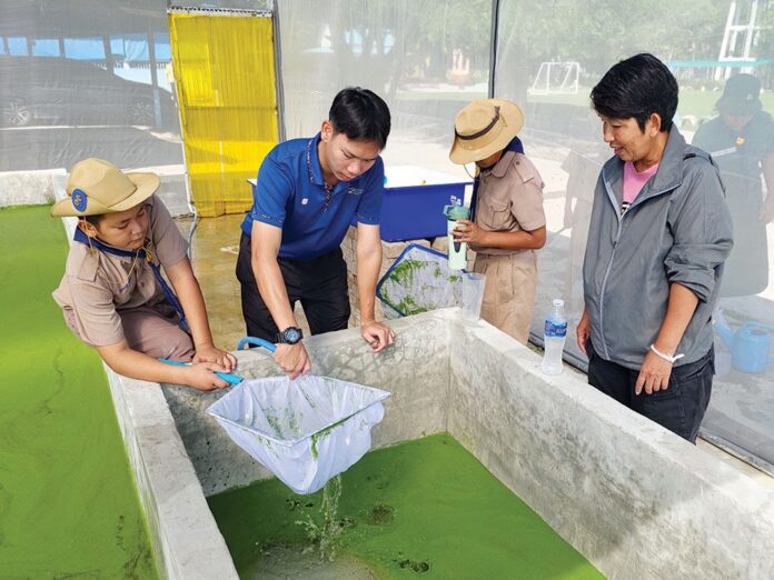 สดจากเยาวชน - ‘ไข่ผำ’อร่อยจานเด็ด เด็กรร.บ้านหนองคา