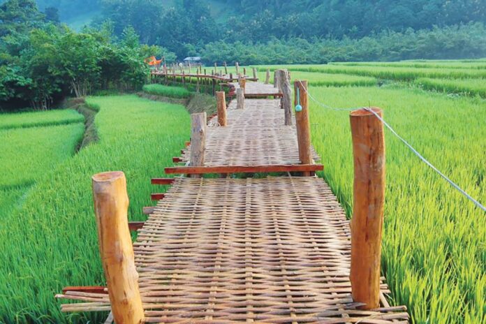 เที่ยววัด-วันหยุด