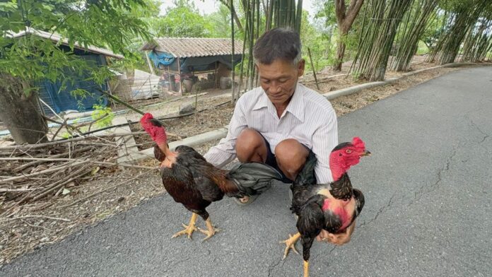 เพื่อนตัวเล็ก