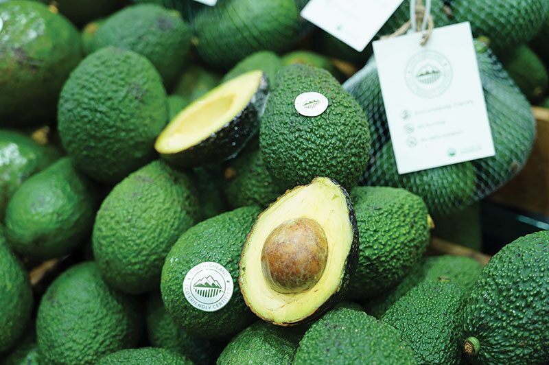 หลากหลาย - สวพส.เปิดเครื่องหมาย Eco Brand สินค้าจากเกษตรกร
