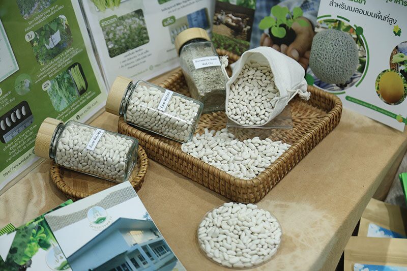 หลากหลาย - สวพส.เปิดเครื่องหมาย Eco Brand สินค้าจากเกษตรกร