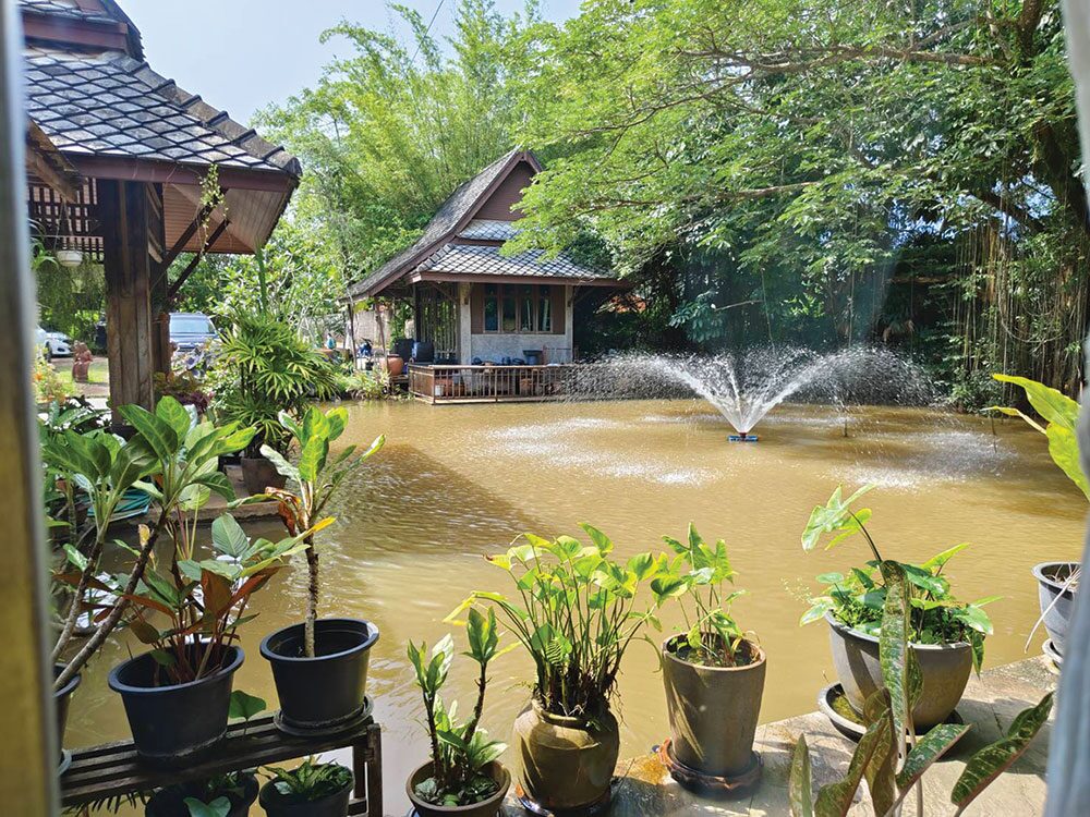 หลาก&หลาย - สัมผัส‘ธรรมชาติบำบัด’ เติมพลังใจ-ฟื้นฟูร่างกาย