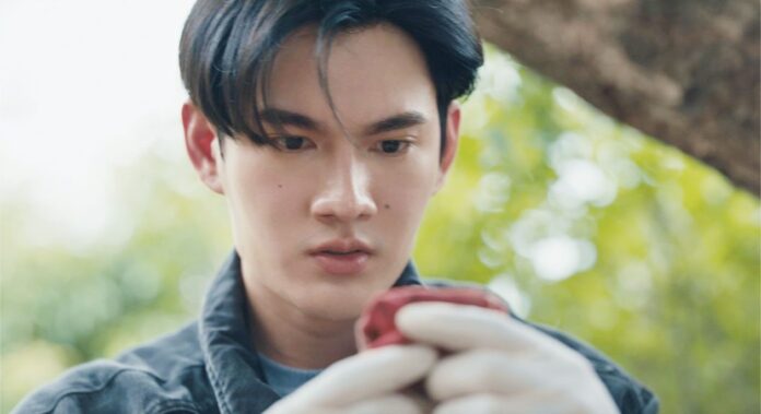 เสาร์สด