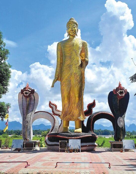 ชวนกันมา พากันมู(เตลู)