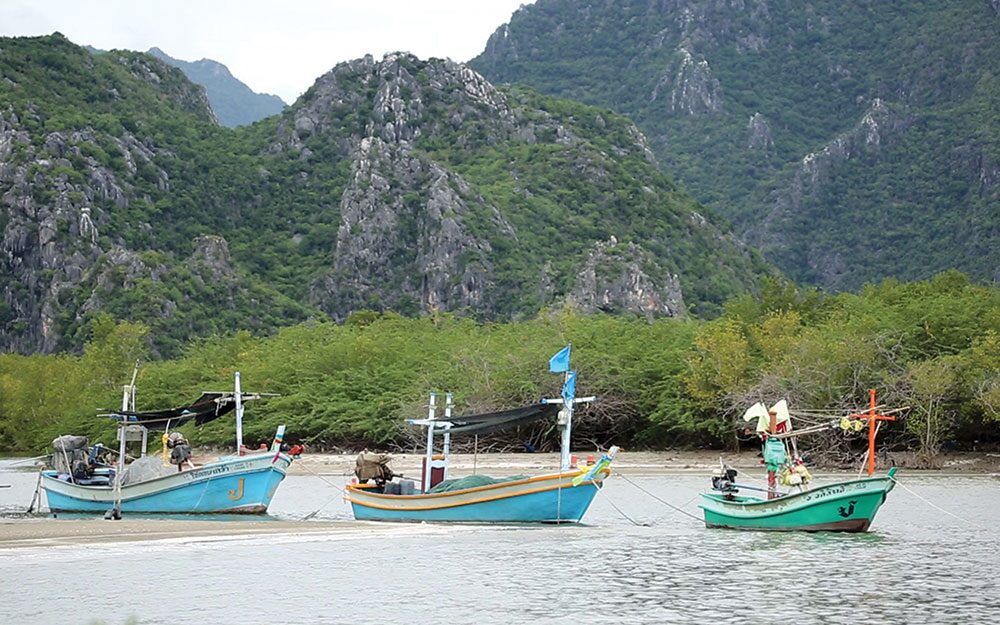 สดจากเยาวชน - 30 ปีเด็กรักษ์ทุ่ง แห่งสามร้อยยอด