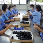 เรือนจำ-ทัณฑสถาน น้อมถวายความอาลัย 'สมเด็จพระพันปีหลวง' จัดทำริบบิ้นสีดำไว้อาลัย แจกปชช.