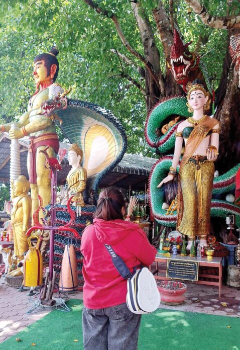 ชวนกันมา พากันมู(เตลู)