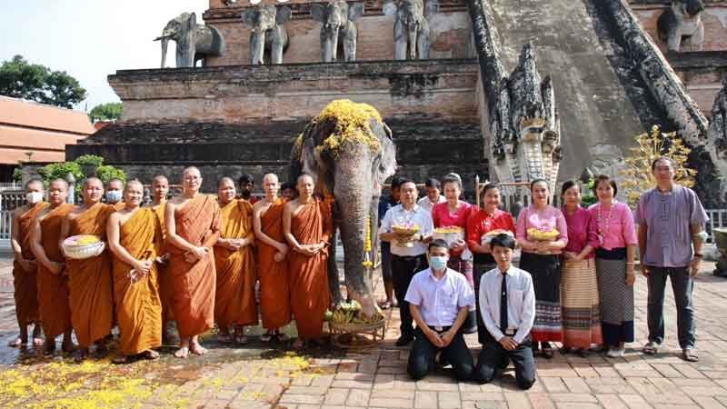 เศร้า ปิดตำนาน “พลายบุญแสน” ช้างมรดกของแผ่นดิน ล้มในวัย61 ในวันออกพรรษา