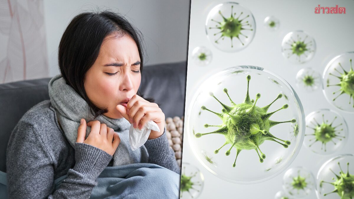 .ไข้หวัดใหญ่ สายพันธุ์เอ AH3 ระบาดหนักในรอบ 5 ปี เดือน ต.ค. เป็นช่วงพีคการระบาด.