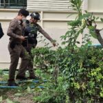 เหตุสลด สาวพิการ พลัดตกตึกชั้น 8 นอนหมดสติ หายใจโรยริน เจ็บสาหัส แม่ช็อก-ตกใจมาก