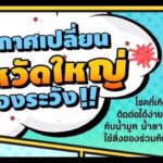 ไข้หวัดใหญ่ ระบาดหนัก อีสานใต้ ปี'68 ป่วย 60,624 ราย ตาย 20 คน โคราชมากสุด
