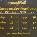 เย็นยะเยือก อินทนนท์ 9 องศา ทั้งยอดดอยหนาวราวเปิดแอร์ นักท่องเที่ยวสะใจ-แห่สัมผัส
