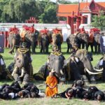 ควาญช้าง-ช้างกรุงเก่า ร่วมยืนสงบนิ่ง-หมอบกราบ ถวายความอาลัย 'พระพันปีหลวง' ทรงอุปถัมภ์อนุรักษ์ช้างไทย