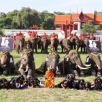 ควาญช้าง-ช้างกรุงเก่า ร่วมยืนสงบนิ่ง-หมอบกราบ ถวายความอาลัย 'พระพันปีหลวง' ทรงอุปถัมภ์อนุรักษ์ช้างไทย