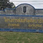 สมาชิกส่งเสริมอาชีพกลุ่มศิลปาชีพ สำนึกในพระมหากรุณาธิคุณ 'พระพันปีหลวง' ส่งเสริมอาชีพเลี้ยงหม่อนทอไหม