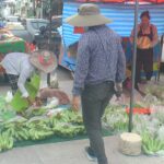 ชาวสวนโคราชทุกข์ ประสบปัญหา กล้วยหอมทอง ล้นตลาด ตั้งแผงขายถูก 5 หวี 100 วอนรัฐเร่งช่วยด่วน
