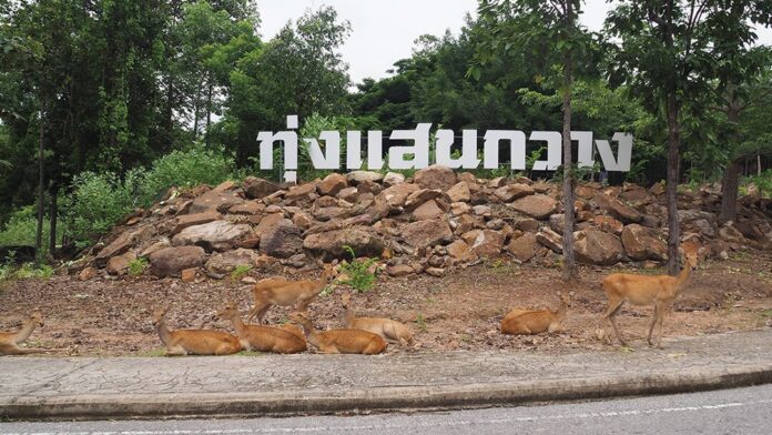 เพื่อนตัวเล็ก - ดาวเด่น-เหล่าเซเลบ สวนสัตว์ขอนแก่น
