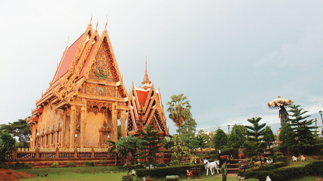 รายงานพิเศษ 