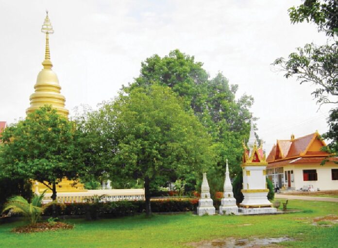 ข่าวสดพระเครื่อง