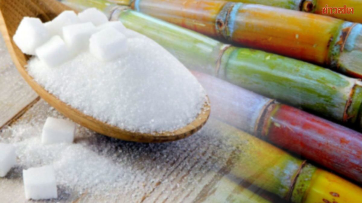 ภาพประกอบข่าว: อนุทิน เบรก!ขึ้นราคาน้ำตาลทราย สอน.ออกประกาศกลับไปใช้ราคาเดิม 21-22 บาททันที