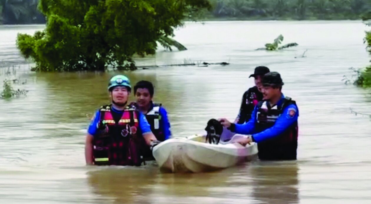 เพื่อนตัวเล็ก - ‘เจ้าบุญรอด’รอดชีวิต กลางสายน้ำเมืองพัทลุง