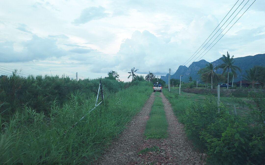 สดจากเยาวชน