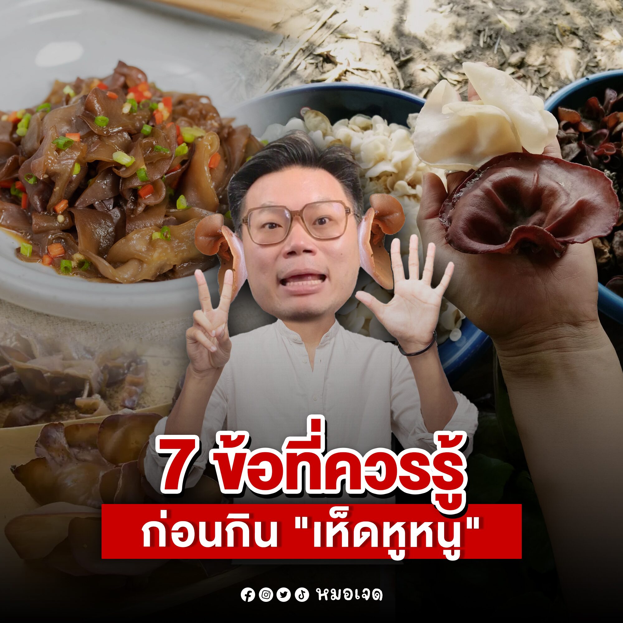 หมอเจด เผย 7 ข้อที่ควรรู้ ก่อนกิน "เห็ดหูหนู" อะไรคือ "ประโยชน์จริง" อะไรคือ "ความเข้าใจผิด" เตือน อาหารสุขภาพยอดฮิต กินผิดอาจกลายเป็นภัยเงียบ