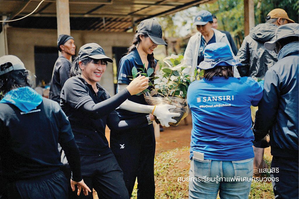 รายงานพิเศษ