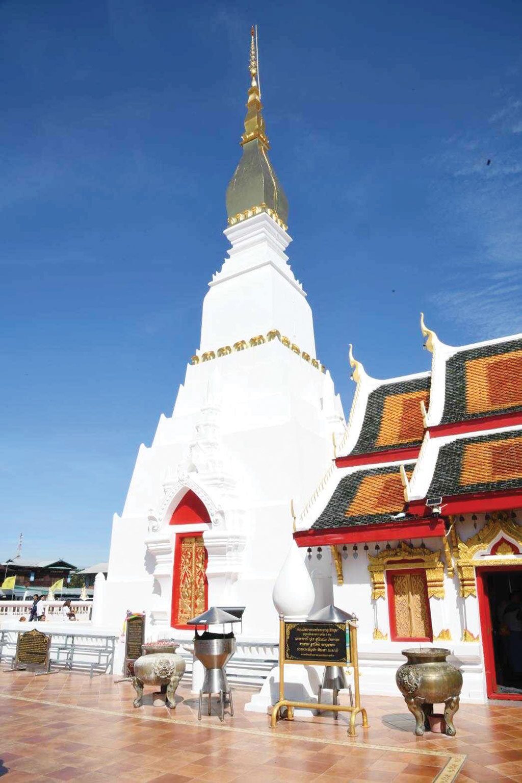 รายงานพิเศษ