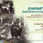 29 พ.ย. สำนึกในพระมหากรุณาธิคุณล้นเกล้าล้นกระหม่อม 62 ปี นนทรีทรงปลูก ดนตรีทรงโปรด สืบสานวันทรงดนตรี