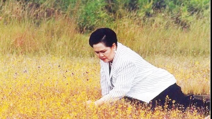 หลากหลาย