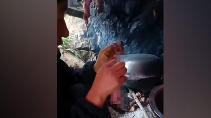 The 25-year-old tucks into a “quite tasty” rat which she caught, skinned and roasted herself.
