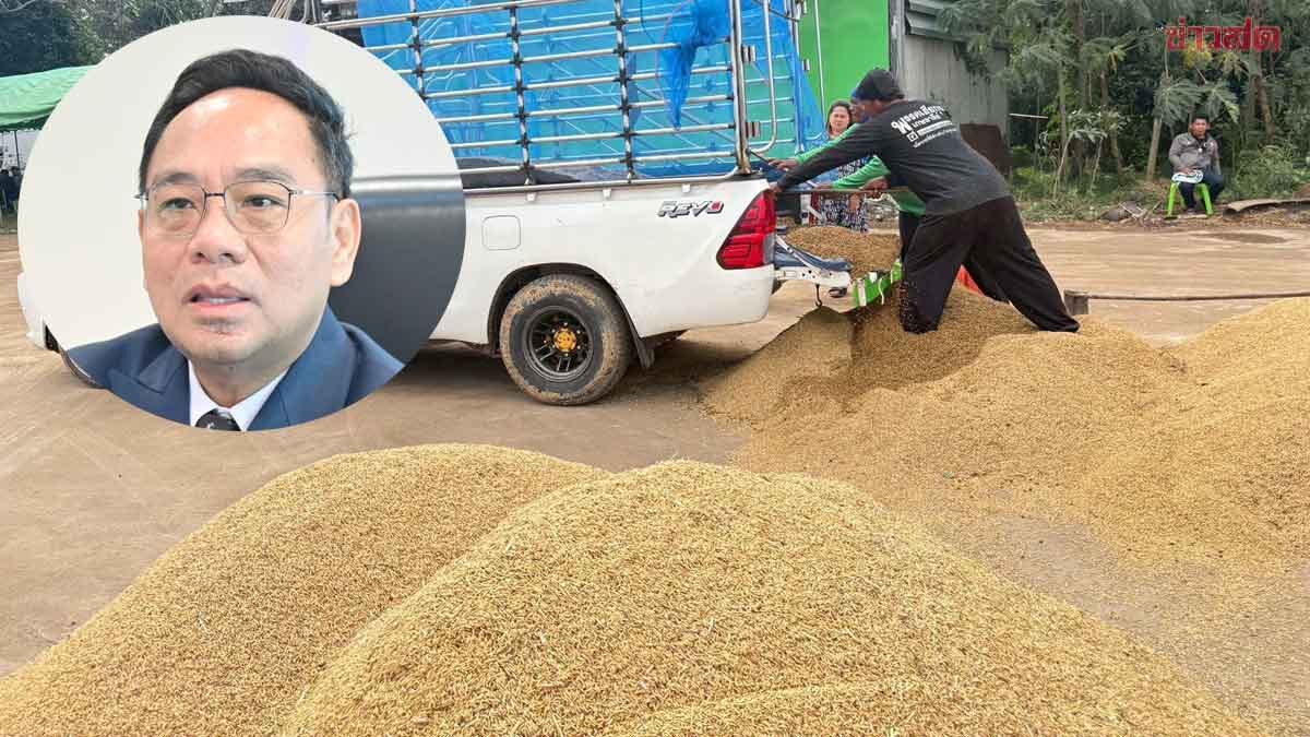 ภาพประกอบข่าว: พาณิชย์ ชี้ ราคาข้าวหอมพุ่งตันละพันบาท แตะ16,000 บาท รับมาตรการ นบข.